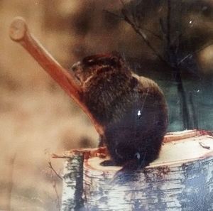 Meet your Posher, Charles